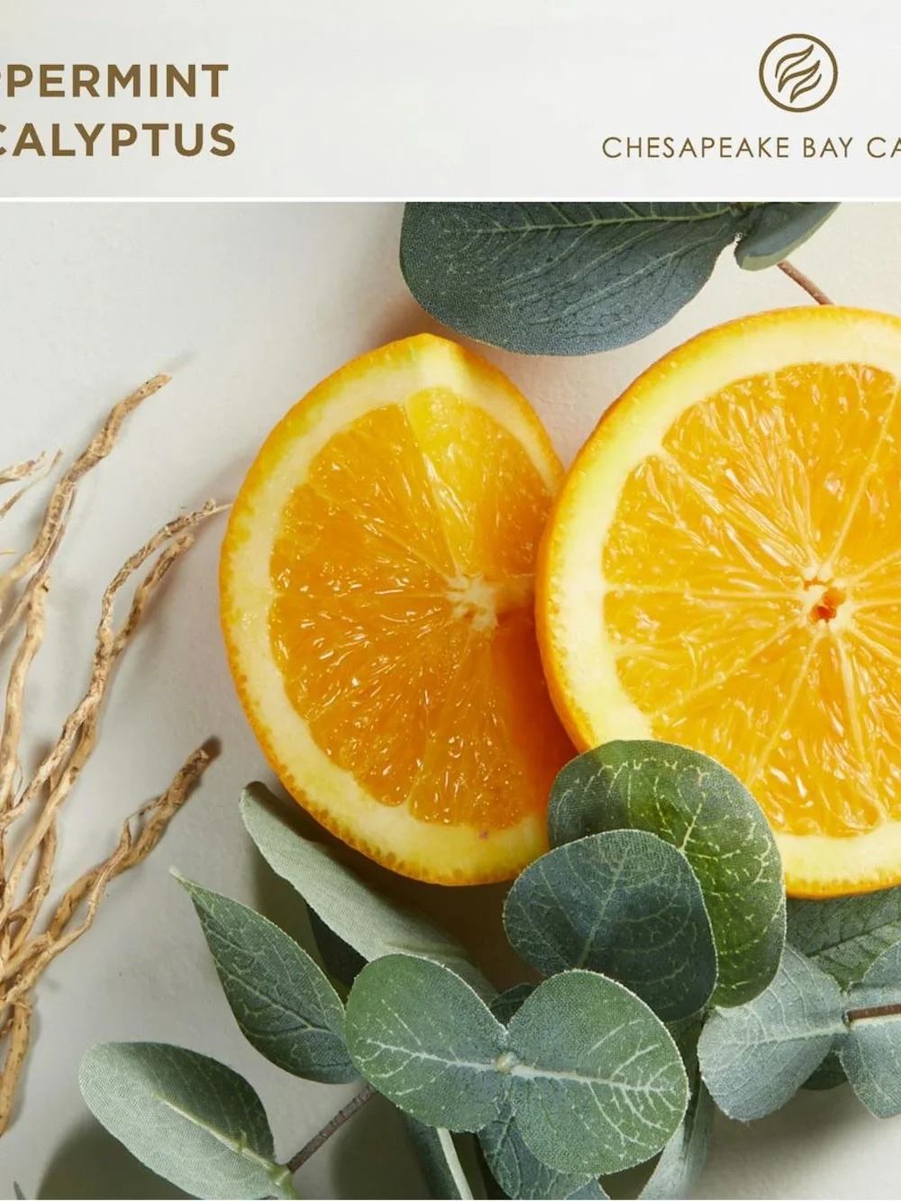 Be Focused: Remember what matters (Peppermint Eucalyptus) 13oz Candle